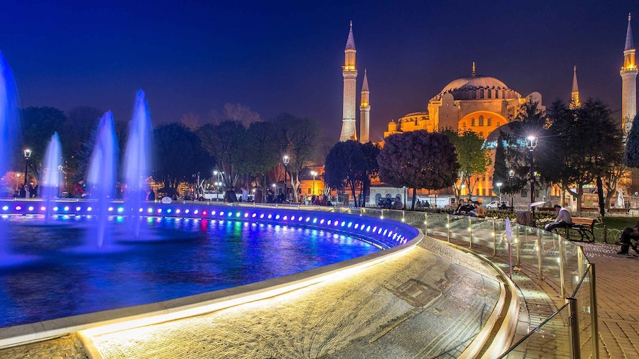 Istanbul: Full-Day Highlights Tour with Guide and Lunch