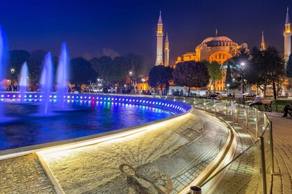 Istanbul: Istanbul: Kokopäiväretki oppaan ja lounaan kanssa.