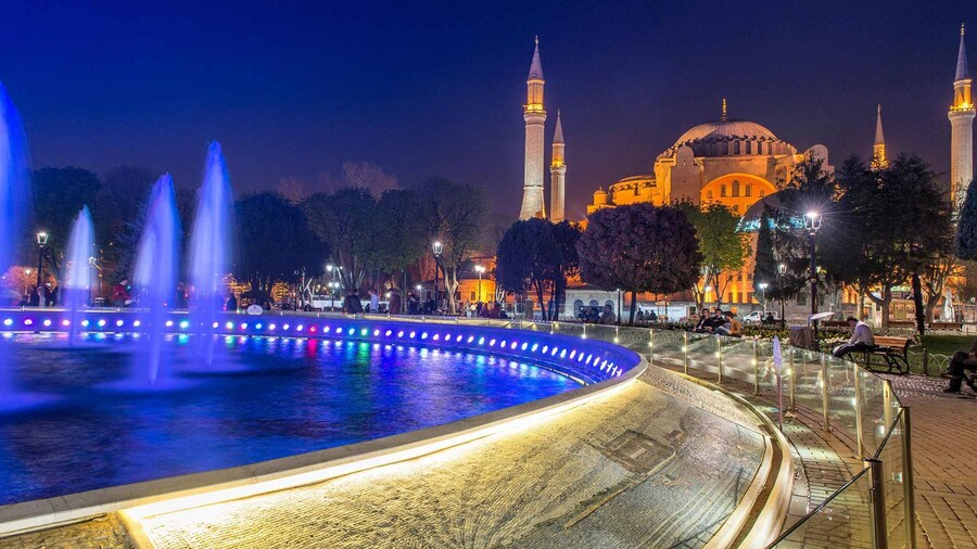 Istanbul: Full-Day Highlights Tour with Guide and Lunch