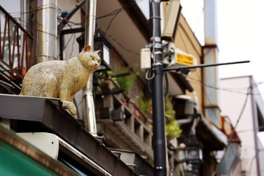 Tokyo Walking Tour of Historic Shopping Streets