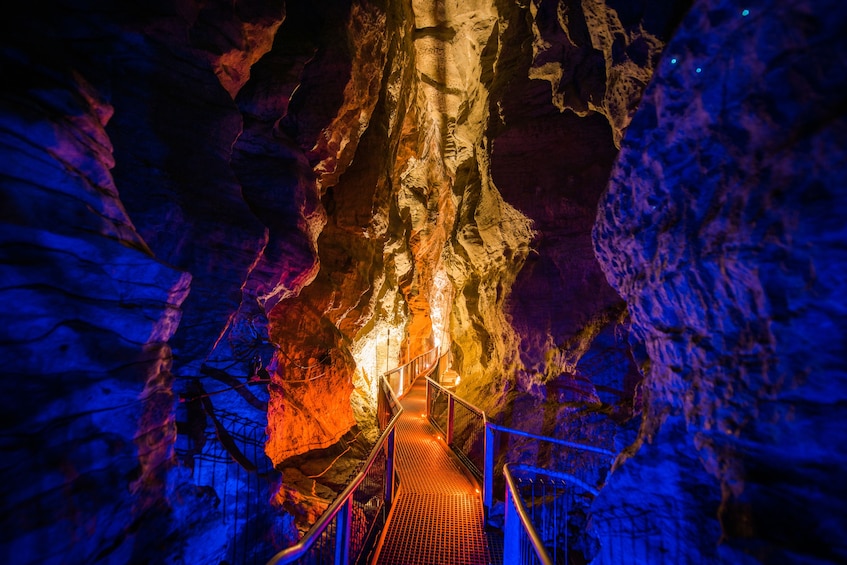Show item 4 of 8. Ruakuri Cave in New Zealand