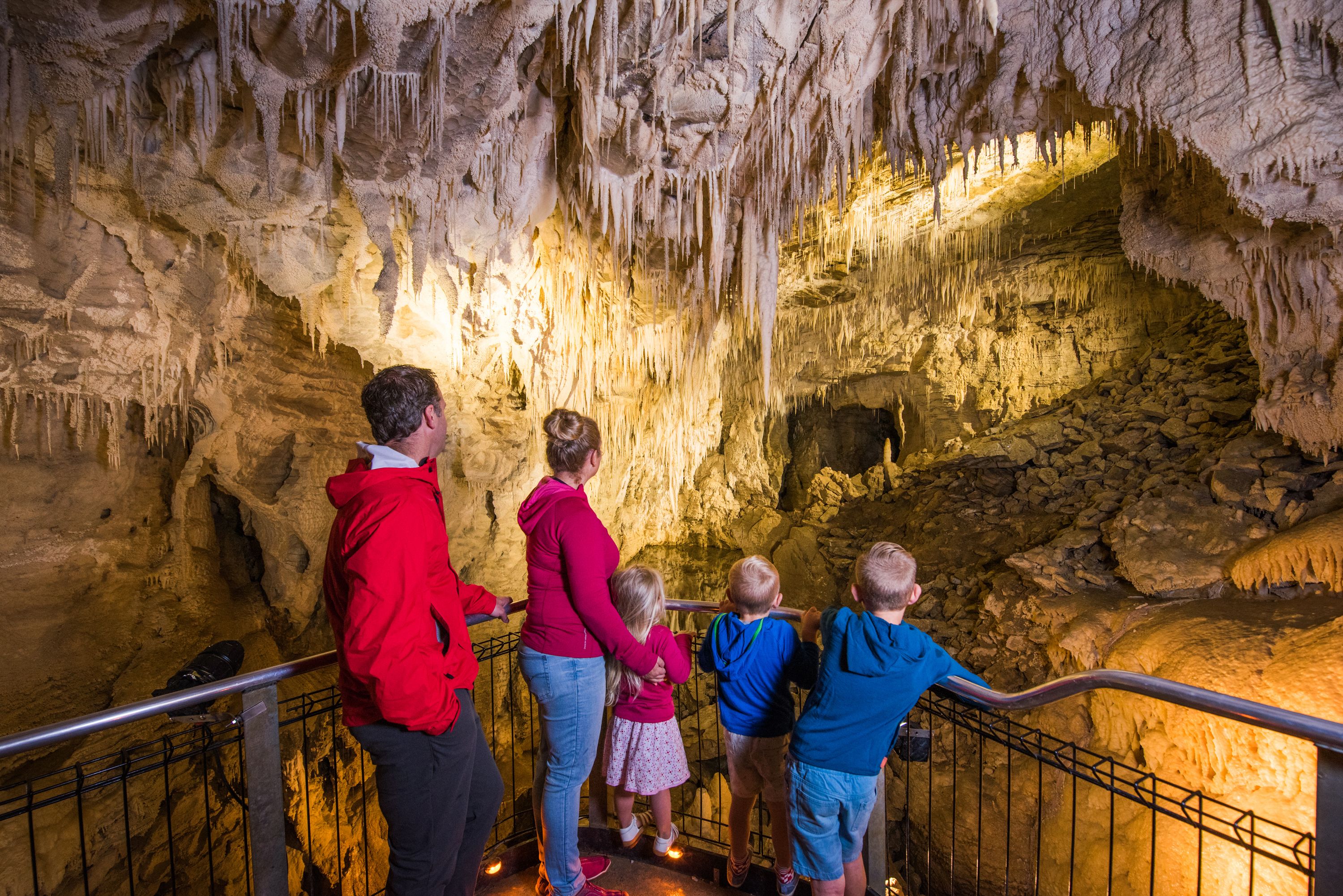 Ruakuri Cave Underground Walking Tour