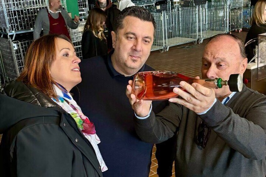 Local wines and traditional balsamic experience