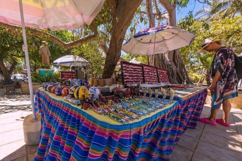 Sayulita and San Pancho Tour
