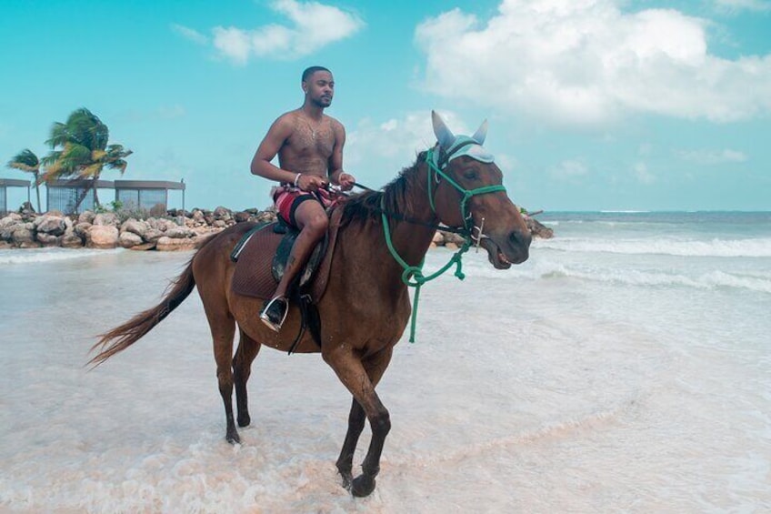 Horseback riding tour & Photoshoot In Montego Bay 