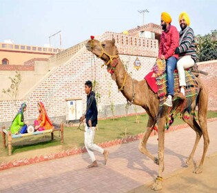 Amritsar: visite en soirée à Sadda Pind avec dîner