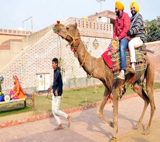 Amritsar: Evening Tour to Sadda Pind with Dinner