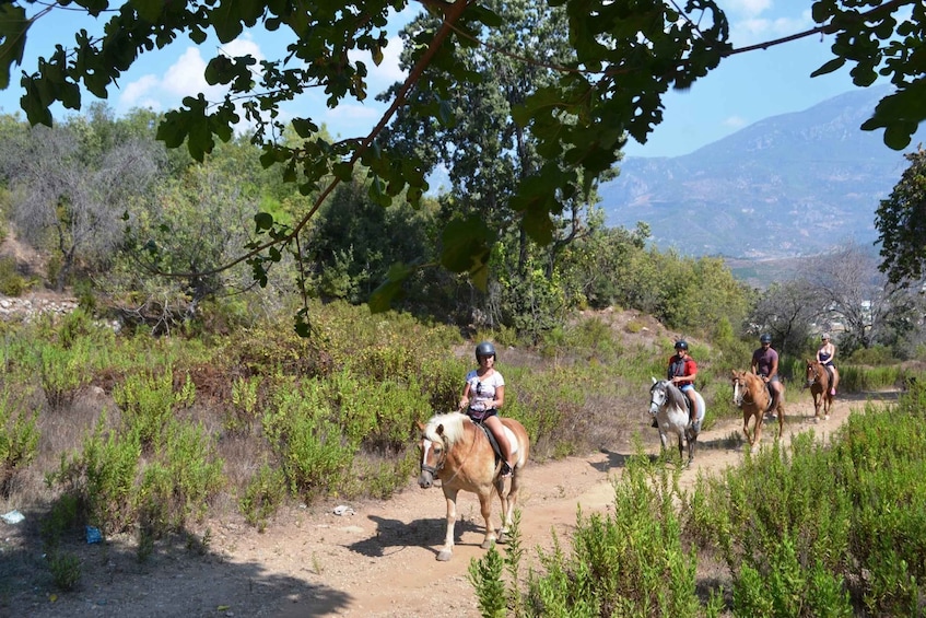 Picture 1 for Activity Horse Riding in Kusadasi