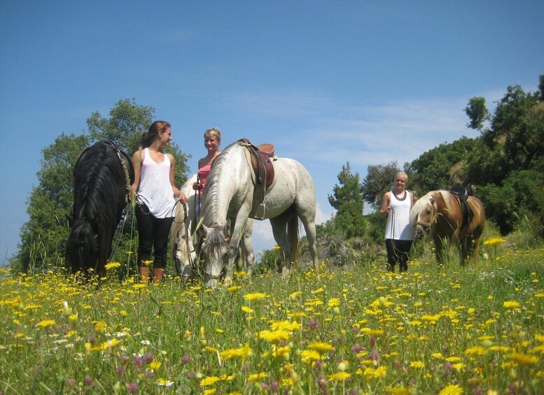 Picture 2 for Activity Horse Riding in Kusadasi