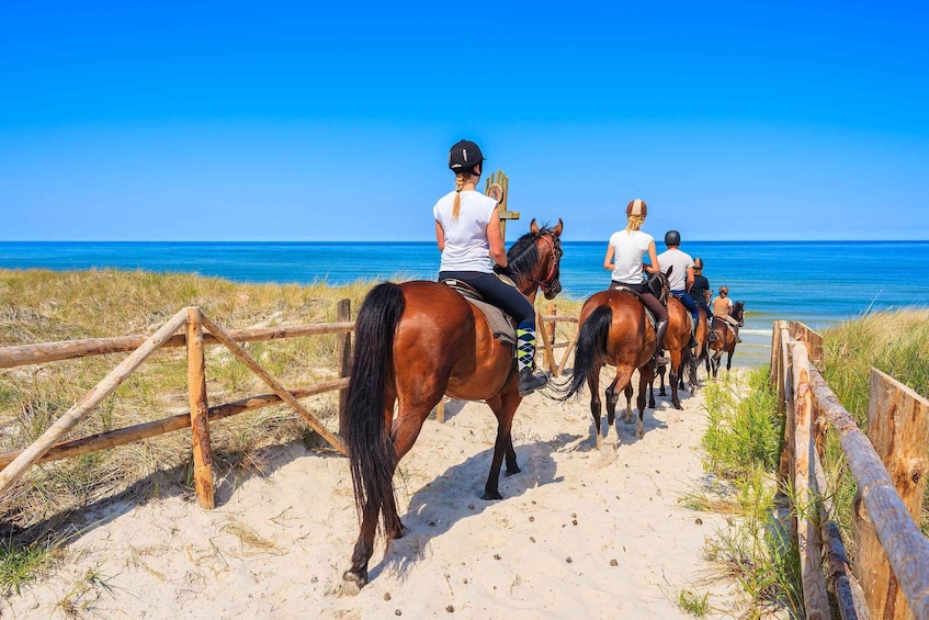 Picture 3 for Activity Horse Riding in Kusadasi