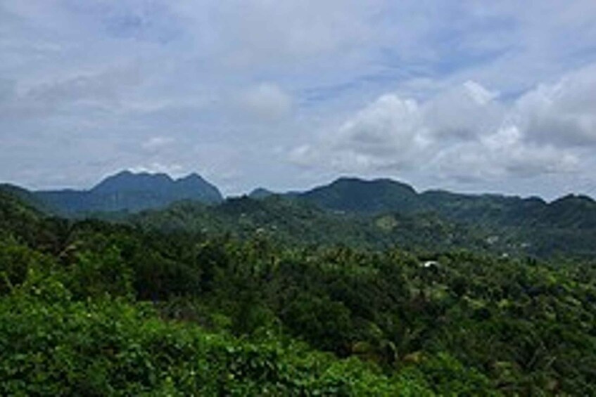 Picture 1 for Activity St. Lucia Full-Day Scenic Boat Tour