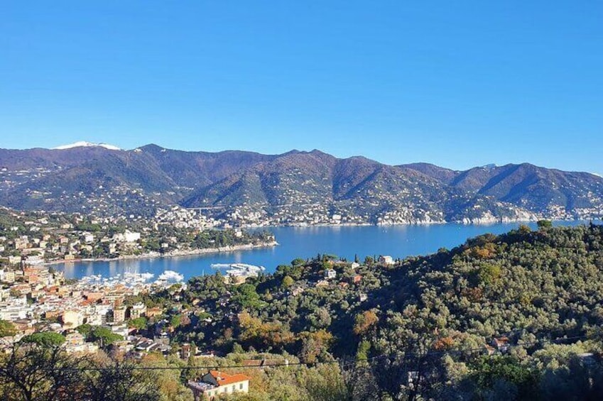 Santa Margherita and the Tigullio Gulf