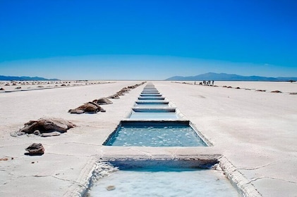 From Jujuy: Full-Day Tour to Salinas Grandes and Purmamarca
