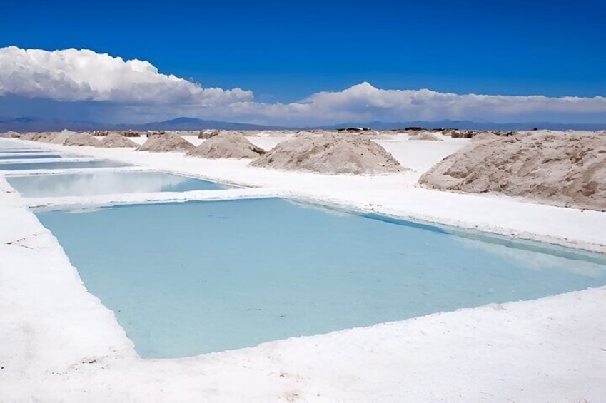 From Jujuy: Full-Day Tour to Salinas Grandes and Purmamarca
