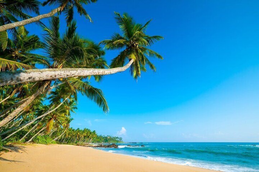 Private Tour On São Tomé Island