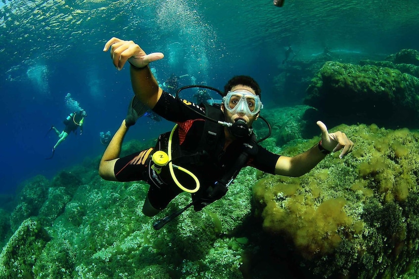 Picture 4 for Activity Ibiza Scuba Diving for Beginners and Snorkeling