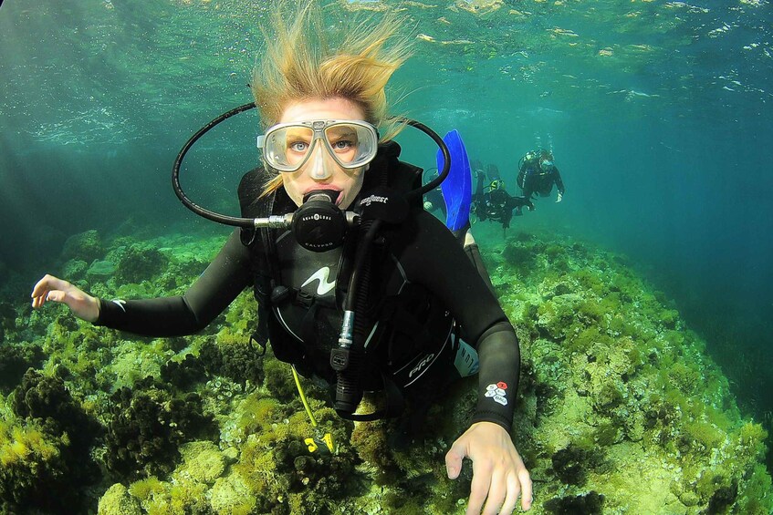 Picture 6 for Activity Ibiza Scuba Diving for Beginners and Snorkeling