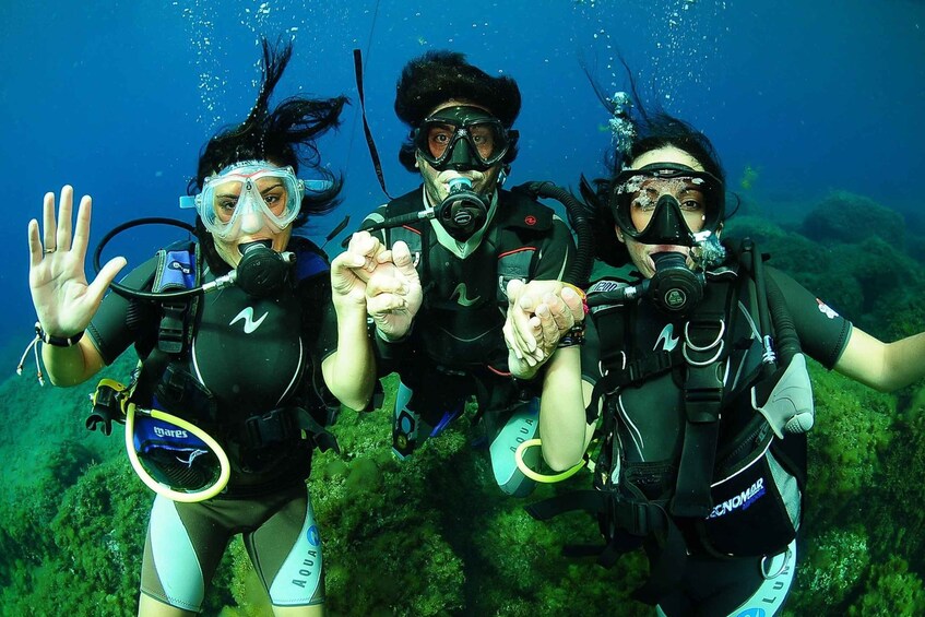 Picture 7 for Activity Ibiza Scuba Diving for Beginners and Snorkeling