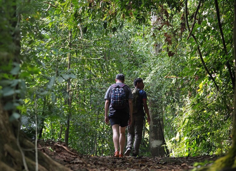 Picture 6 for Activity From Khao Lak: Khao Sok Jungle Hike & River Tour