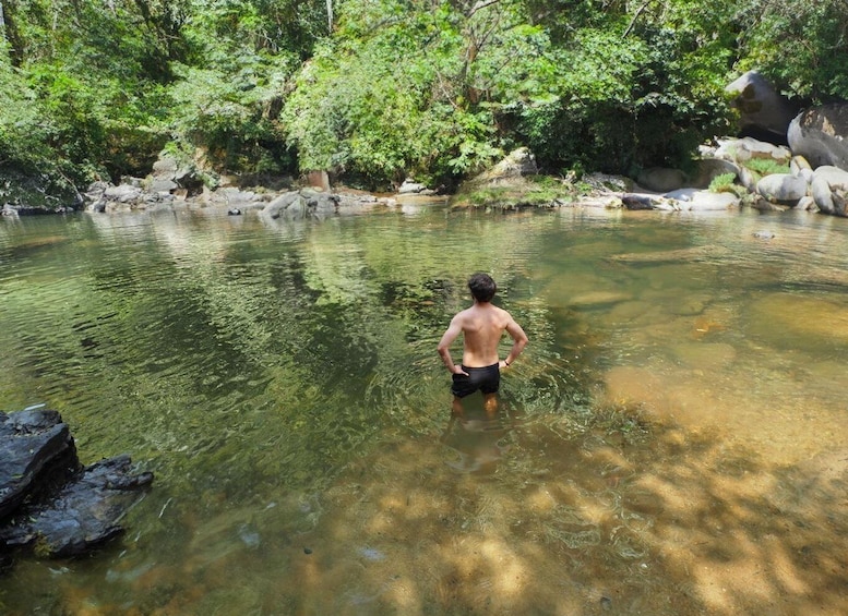 Picture 15 for Activity From Khao Lak: Khao Sok Jungle Hike & River Tour