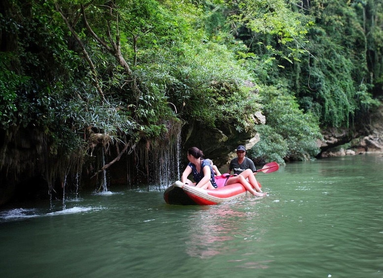 Picture 6 for Activity From Khao Lak: Khao Sok Jungle Hike & River Tour