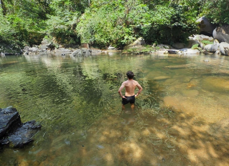 Picture 17 for Activity From Khao Lak: Khao Sok Jungle Hike & River Tour