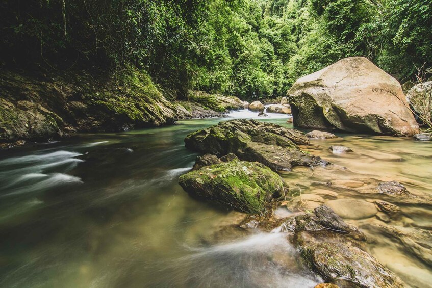 Picture 11 for Activity From Khao Lak: Khao Sok Jungle Hike & River Tour