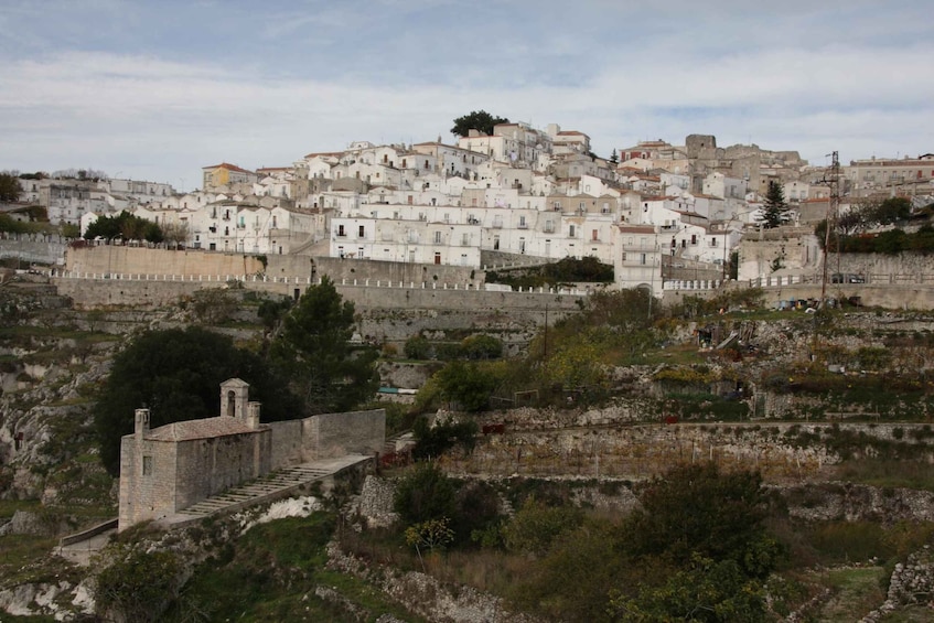 Picture 1 for Activity Monte Sant'Angelo: Guided Walking Tour