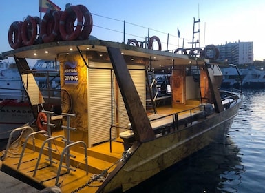 Ibiza: 2,5-stündige private Bootsfahrt bei Sonnenuntergang für große Gruppe...