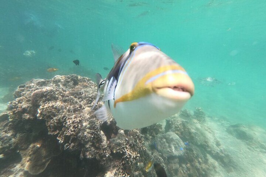 Private Snorkeling in Okinawa with Tropical Fish and Rock Pools