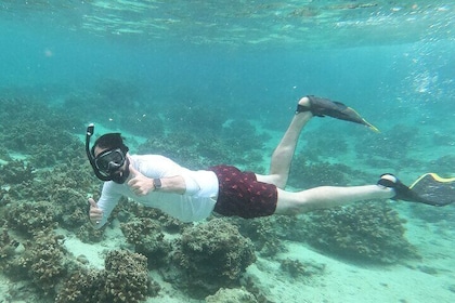 Snorkelling in Okinawa: Private booking