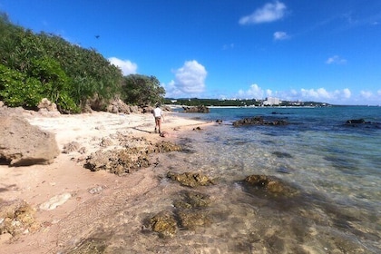 Private Snorkelling in Okinawa with Tropical Fish and Rock Pools