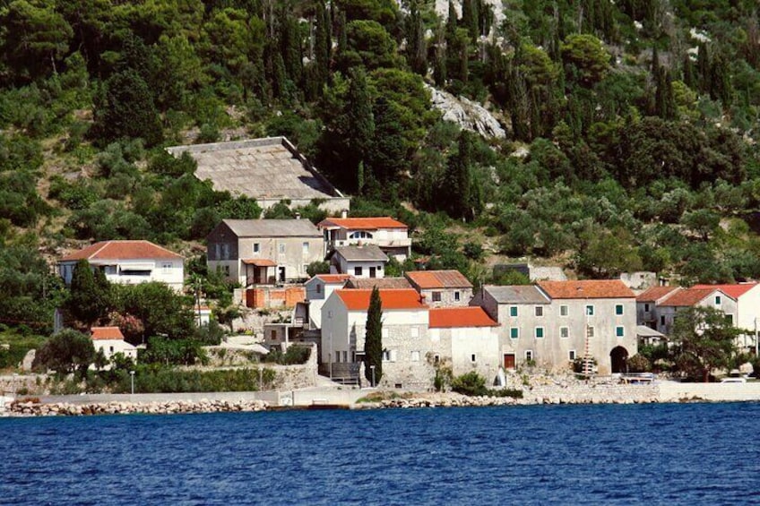 Private Half Day Speedboat tour to Zadar's Nearby Islands