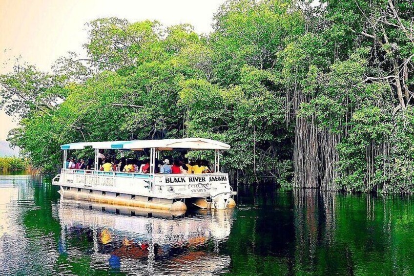 Private Black River and Appleton Rum Tour From Negril
