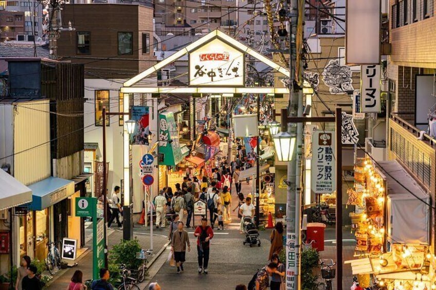 Tokyo Old Town Small Group Walking Tour