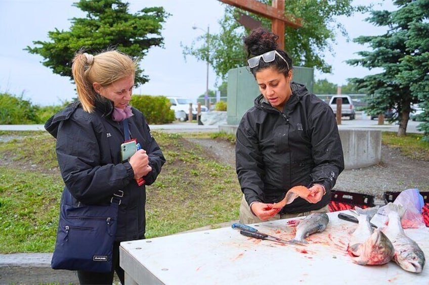Anchorage's Salmon Fish Hatchery Experience