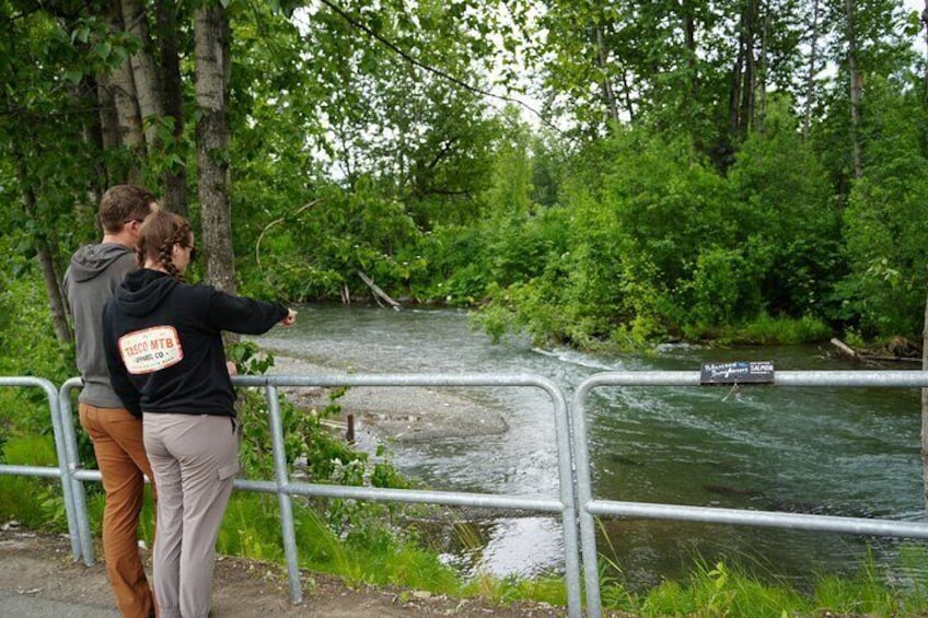 Anchorage's Salmon Fish Hatchery Experience