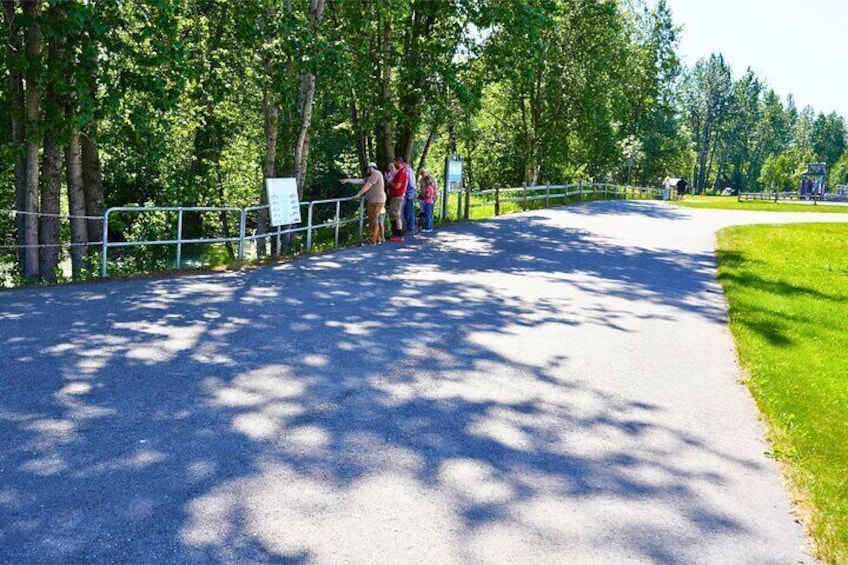 Anchorage's Salmon Fish Hatchery Experience