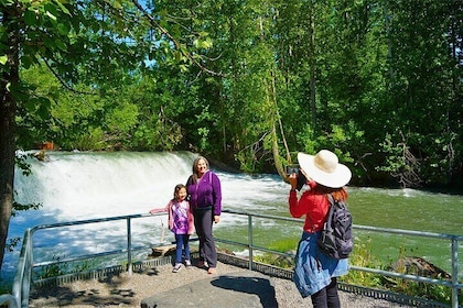 Anchorage Salmon Adventure = Hatchery + Ship Creek + View Salmon