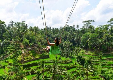 Bali: recorrido turístico de día completo por Ubud con espectáculo de danza...