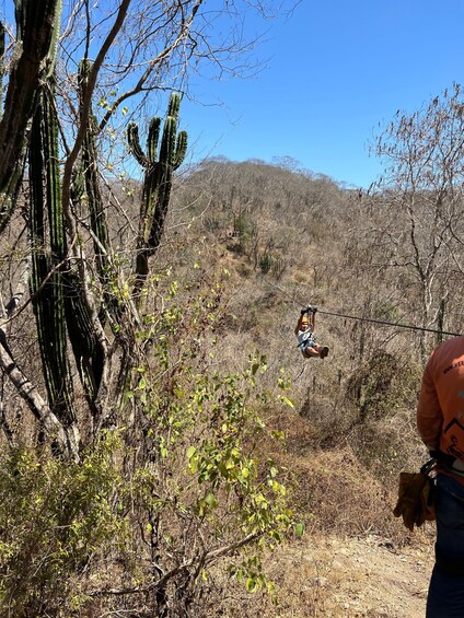 Picture 6 for Activity Mazatlán: Zipline Adventure, Sightseeing & Mezcal Tasting