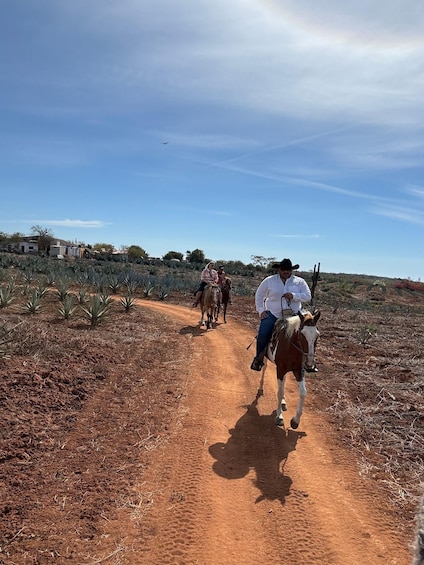 Horseback riding and Temazcal combo with lunch and mezcal