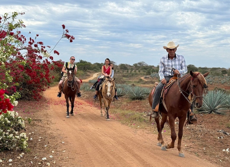 Picture 5 for Activity Horseback riding and Temazcal combo with lunch and mezcal