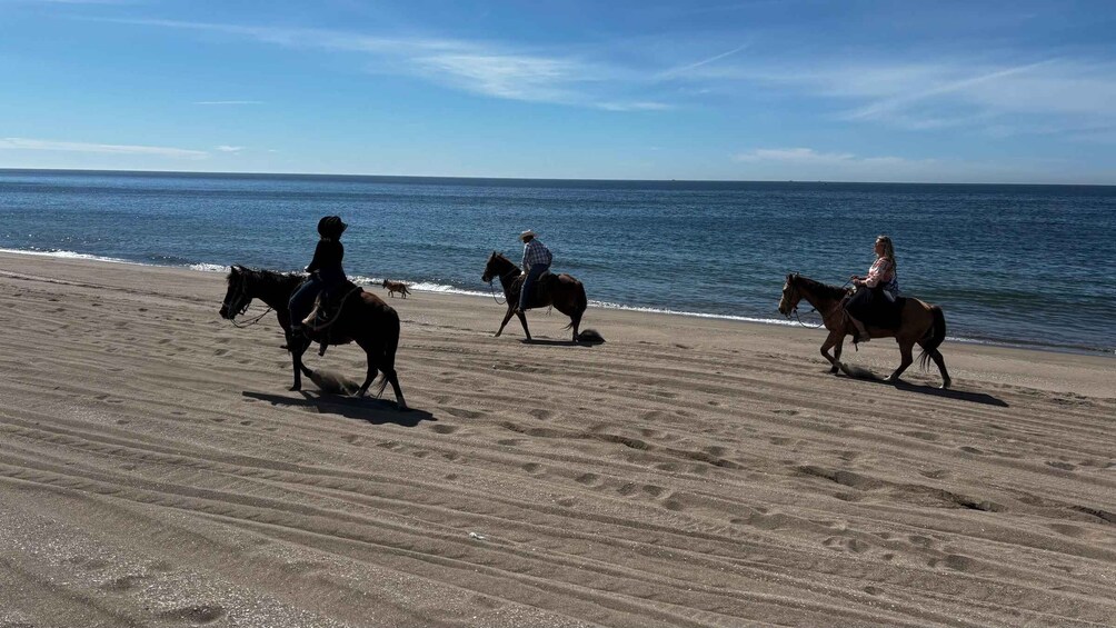 Picture 1 for Activity Horseback riding and Temazcal combo with lunch and mezcal