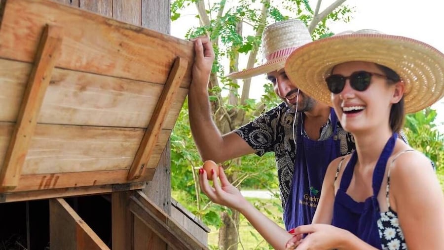 Chiang Mai: Authentic Thai Cooking Class and Farm Visit