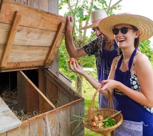 Chiang mai : Cours de cuisine thaïlandaise authentique et visite d'une ferm...