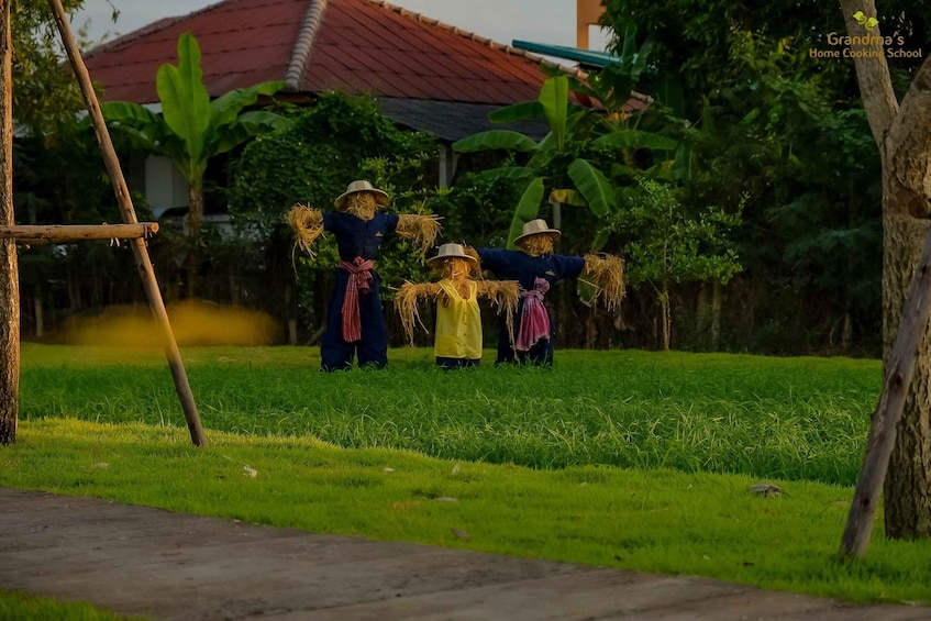 Picture 57 for Activity Chiang Mai: Authentic Thai Cooking Class and Farm Visit