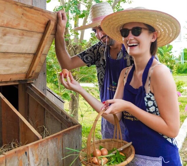 Chiang Mai: Authentic Thai Cooking Class and Farm Visit