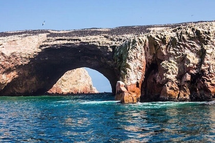 Ballestas Islands excursion from Paracas