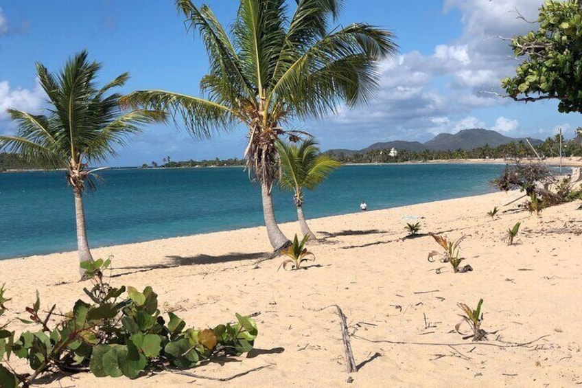 Private Island Hopping Tour to Vieques Island